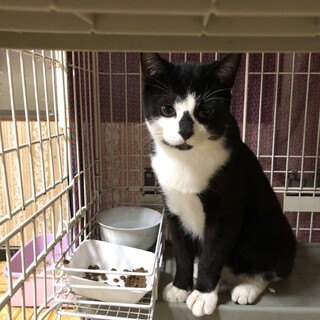 おっとりゴロゴロな男の子