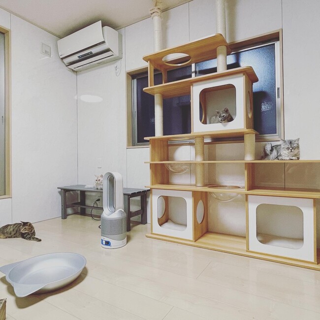 ぱぱぱるのカバー写真