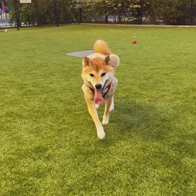 みさおxxのカバー写真