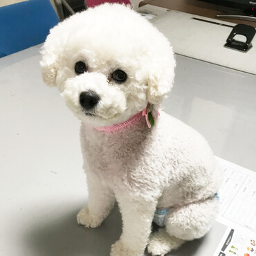 会社のミーティングテーブルで記念撮影