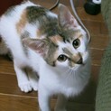 消防士さんがレスキュー！甘えん坊なかりんちゃん