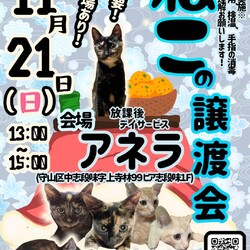 守山アネラにて保護猫譲渡会！