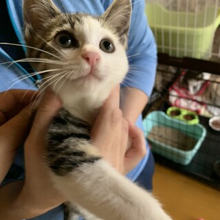 ありがとうございました★甘えん坊プティングちゃん