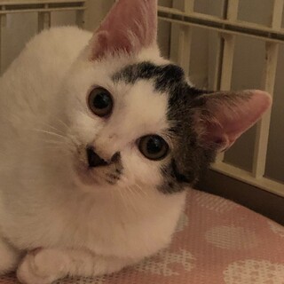 障害がありますが元気です