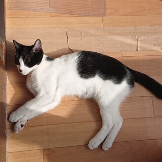 元気いっぱい！栄(えい)君5月産まれです