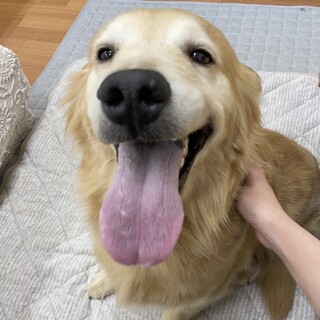 3歳の女の子です