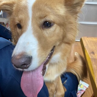 「ぽっぽ」女の子