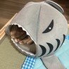 サメに喰われてるよ