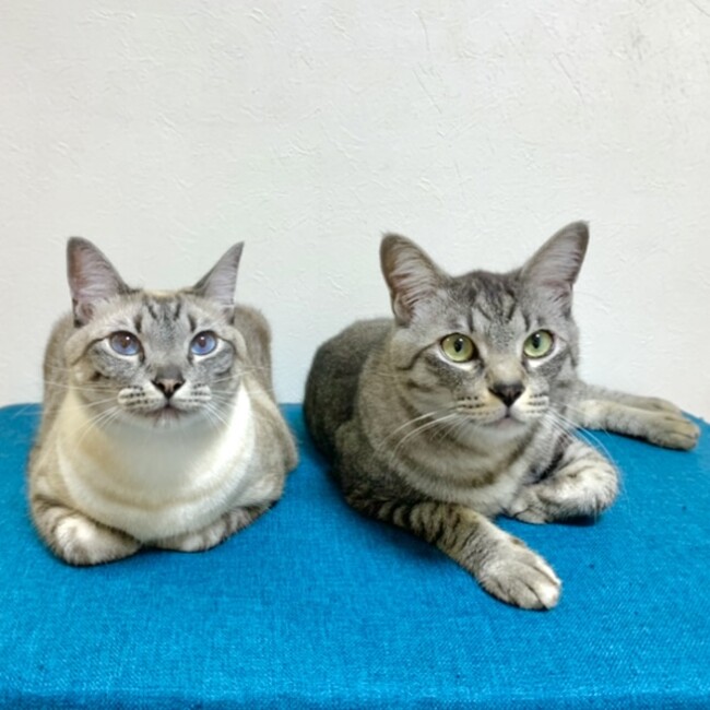 kim218のカバー写真