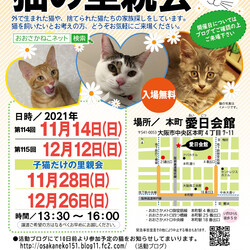 NPO法人 おおさかねこネット 猫の里親会