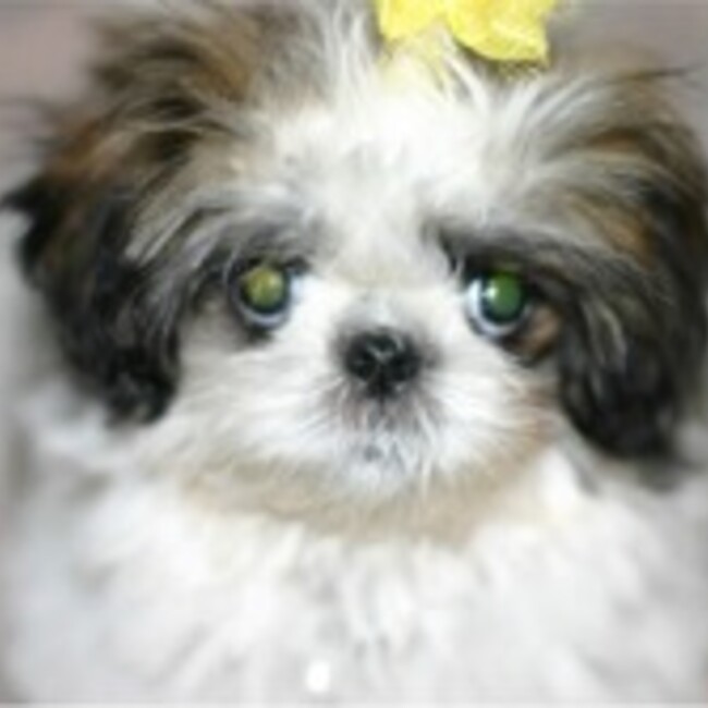 rikirのカバー写真