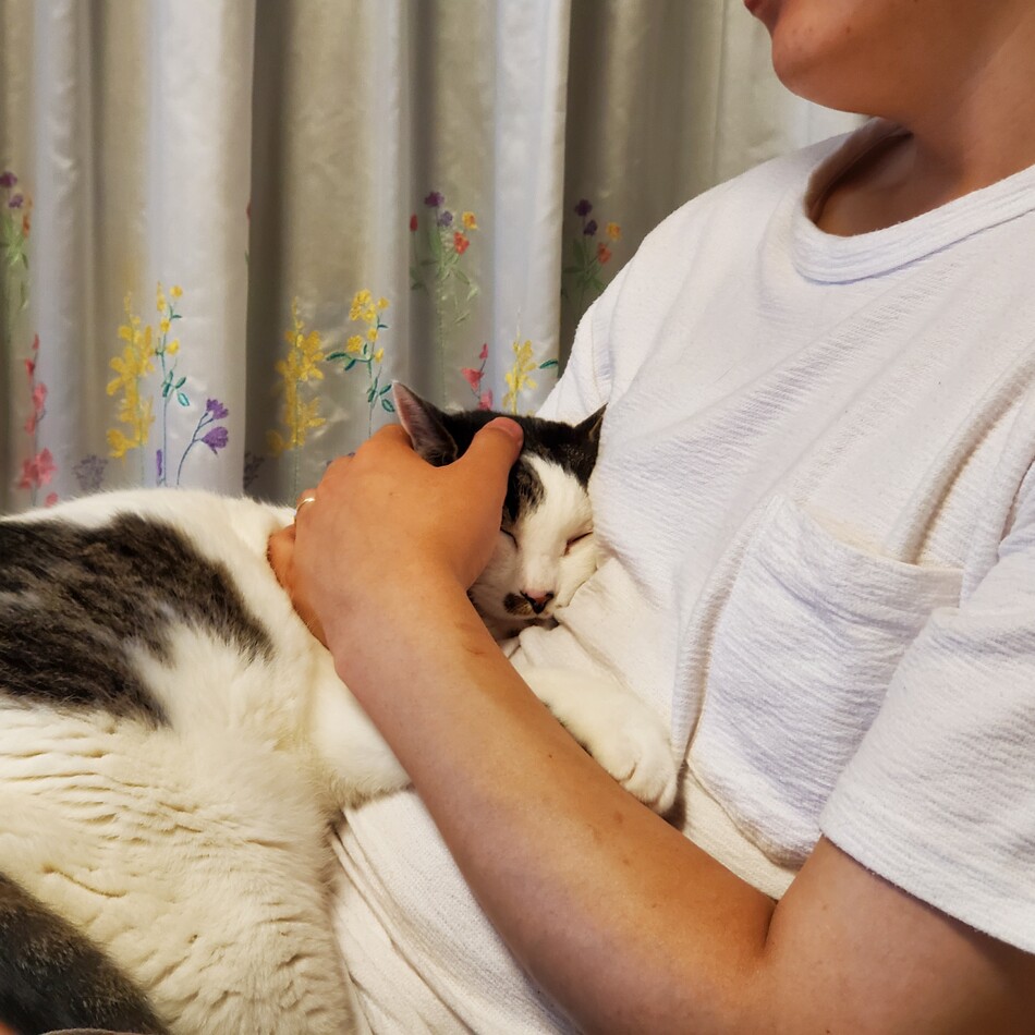 よつばのカバー写真