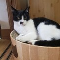 穏やかでナデナデ大好き❤️やすこちゃん