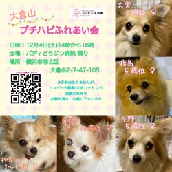 大倉山プチハピふれあい会