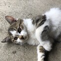 抱っこ大好き
