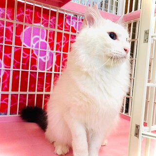 素晴らしいパパとママに出逢えました！感謝！