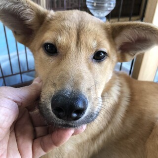 「テルマ」女の子