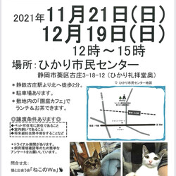 ねこのWa猫譲渡会　静岡市
