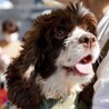 天真爛漫!遊び盛りのお年頃？人懐っこいはぴちゃん サムネイル2