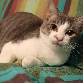 キュートな小悪魔♪ 