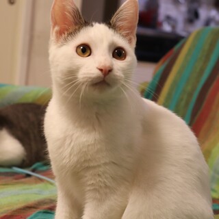 天真爛漫な甘えん坊♪