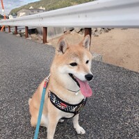 アイス