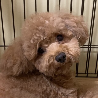 慣れると甘えたな女の子♪