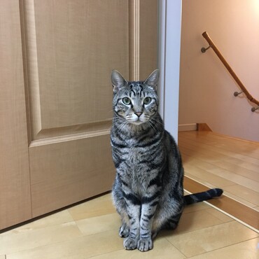 待て。が、できるカイちゃん♡