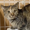 お目々まん丸、三日月マーク☆ムーンちゃん5ヶ月