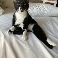 むさし