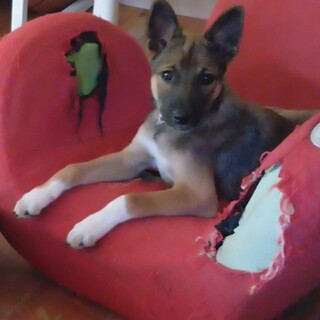 5-6ヶ月の男の子