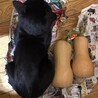の写真