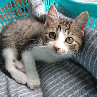 素敵なご縁に恵まれました❗