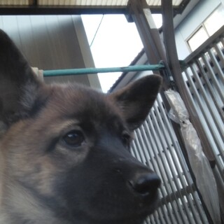 とっても甘えん坊の女の子