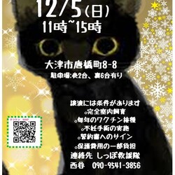 石山タツケン譲渡会