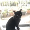 の写真