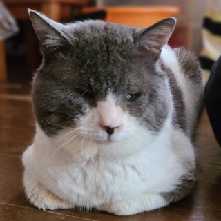 【ごっぱち】募集を終了しました