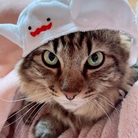みやお