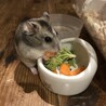 もじゃ子さん