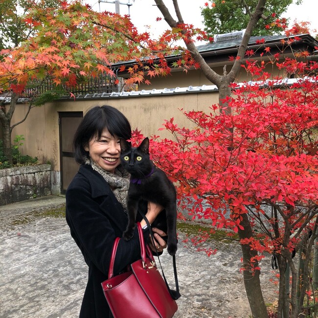 ミワアリスのカバー写真