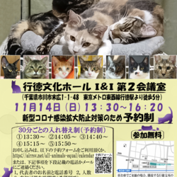11/14（日）イコール保護猫譲渡会
