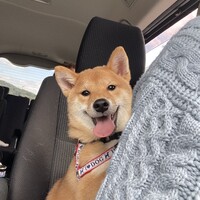 テル