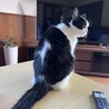 かずおっち