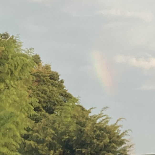 くろはしおんのカバー写真