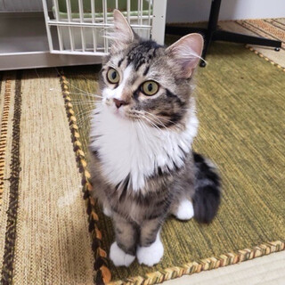 翔(かける)くん★人が大好き！遊びが大好き！