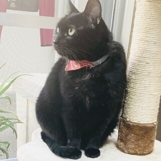 おおらかで優しいナイスバディなクララちゃん!!