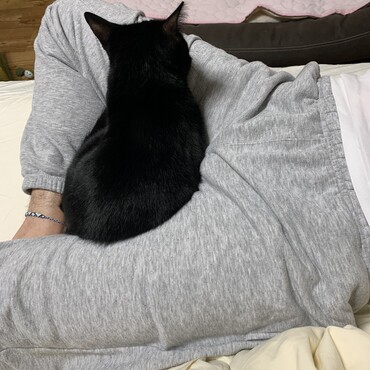 の写真