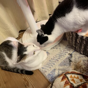 の写真