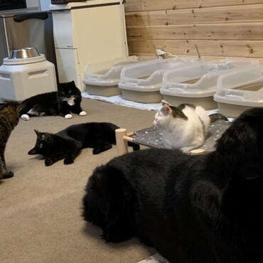 けんたろうの写真