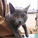トライアル決定致しました。